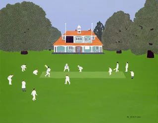Cricket Match